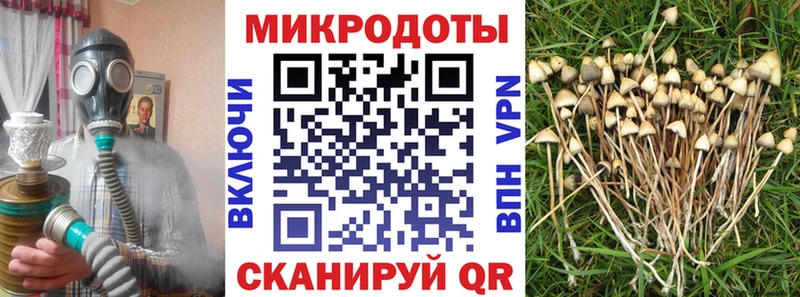 Галлюциногенные грибы прущие грибы Великий Новгород